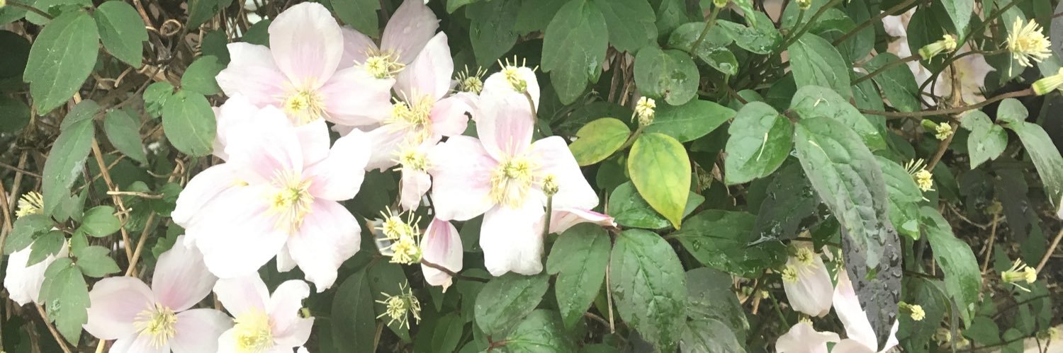 Chantal ☾٩(͡๏̮͡๏)۶ banner