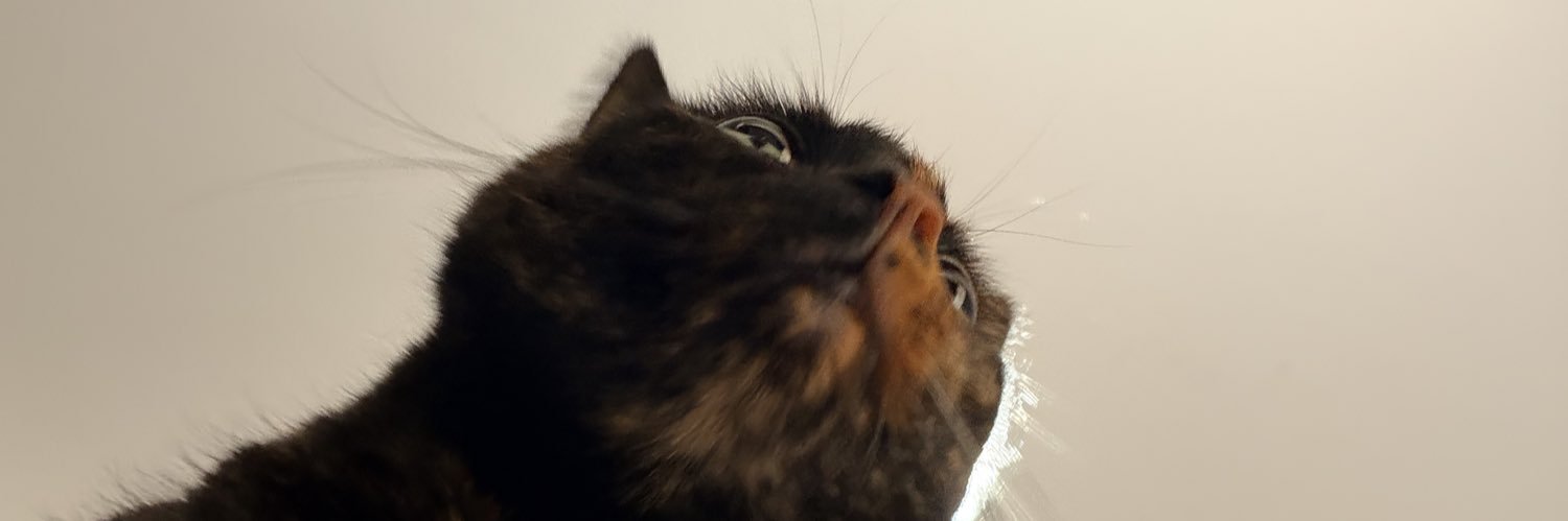acissxj's profile banner image