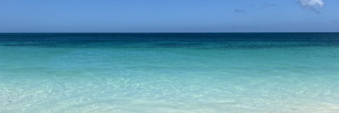 care_eerf's profile banner image