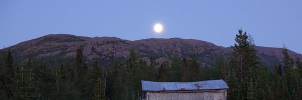 warrenwerbitt Profile Banner