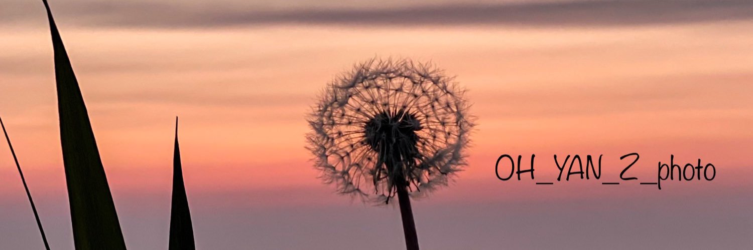 𝙊𝙃_𝙔𝘼𝙉_𝙕_津軽's banner