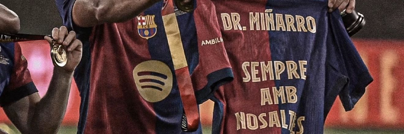 Raphinhista🇧🇷🟦🟥✨ banner