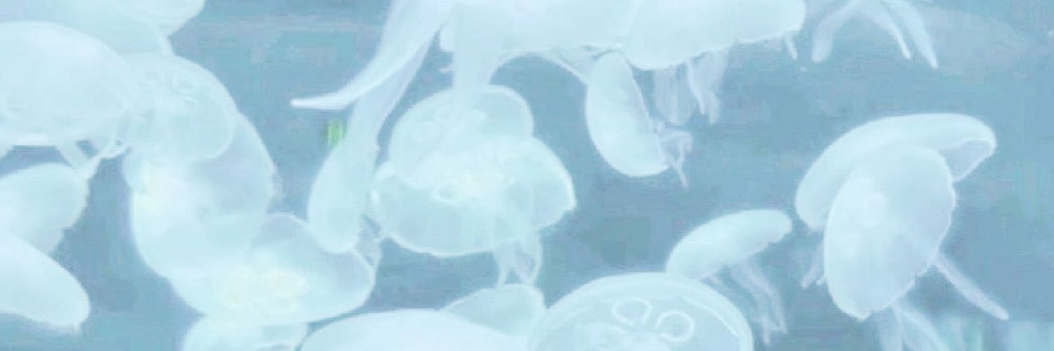 xel ☂️'s banner