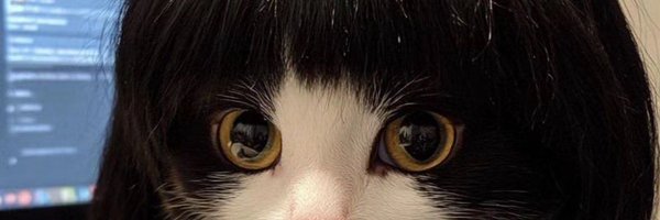 MeranSays Profile Banner