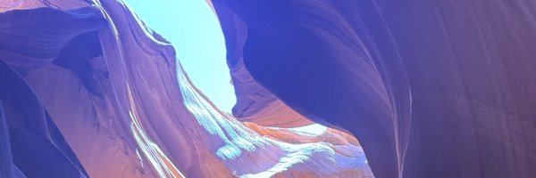 turtle_chahiye Profile Banner