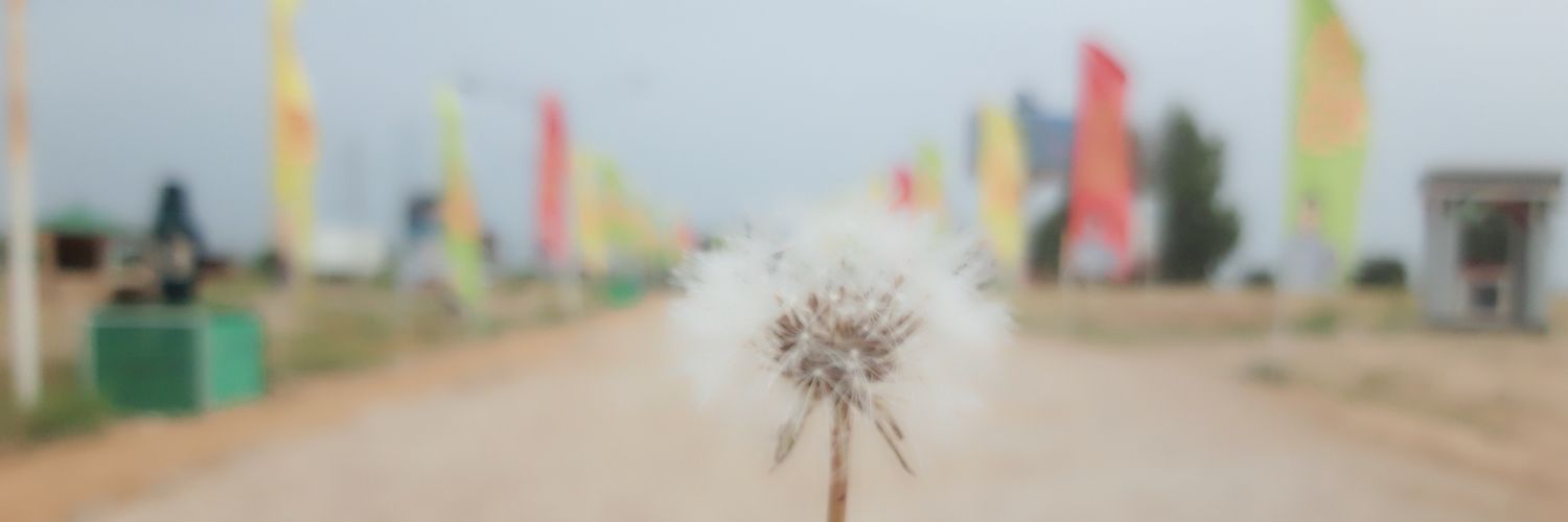 F._.Ameri's banner