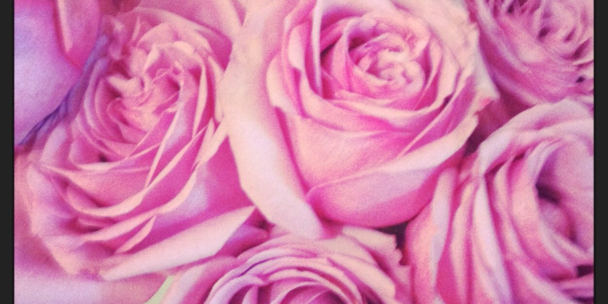 stephssplumb's profile banner image