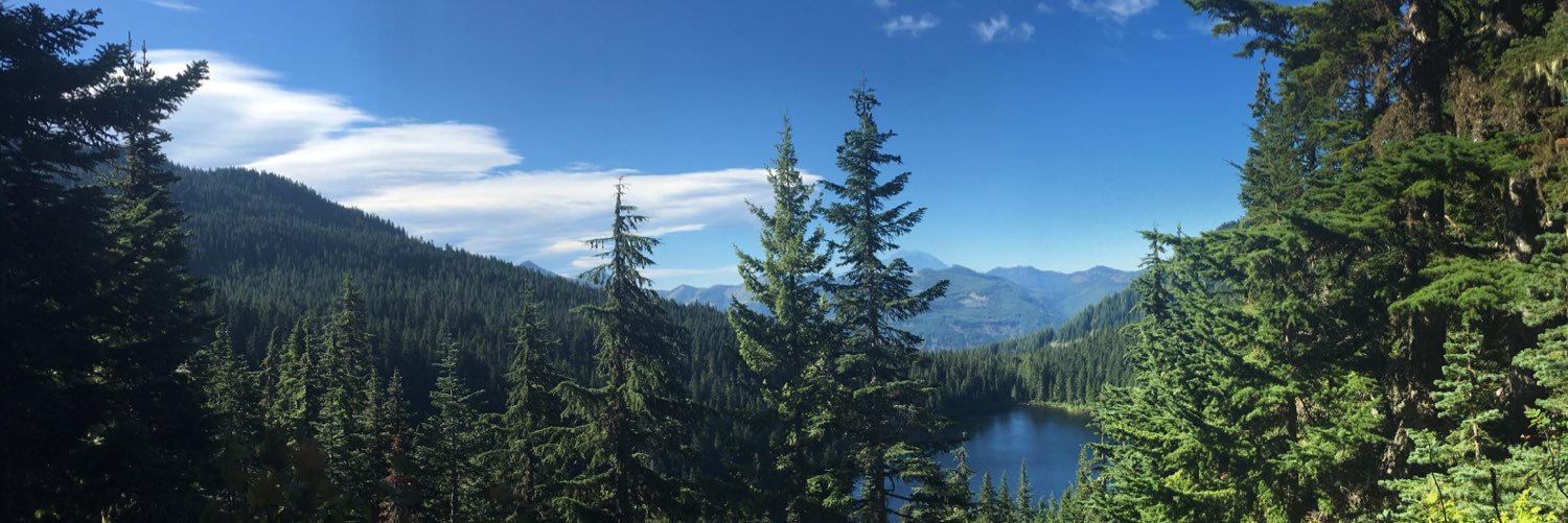 jessieshull's profile banner image
