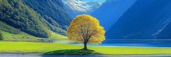 Nhat Tue 🦞 banner