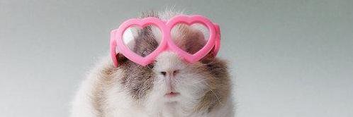 nanigolightly's profile banner image