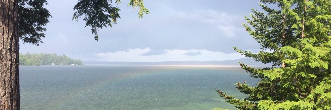 Ashley Shailer banner