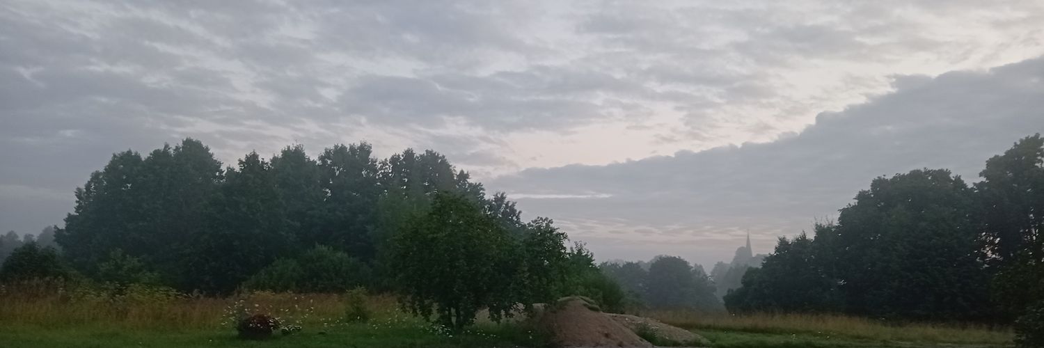 arithemusician's profile banner image