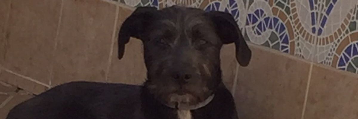GonFerGom's profile banner image