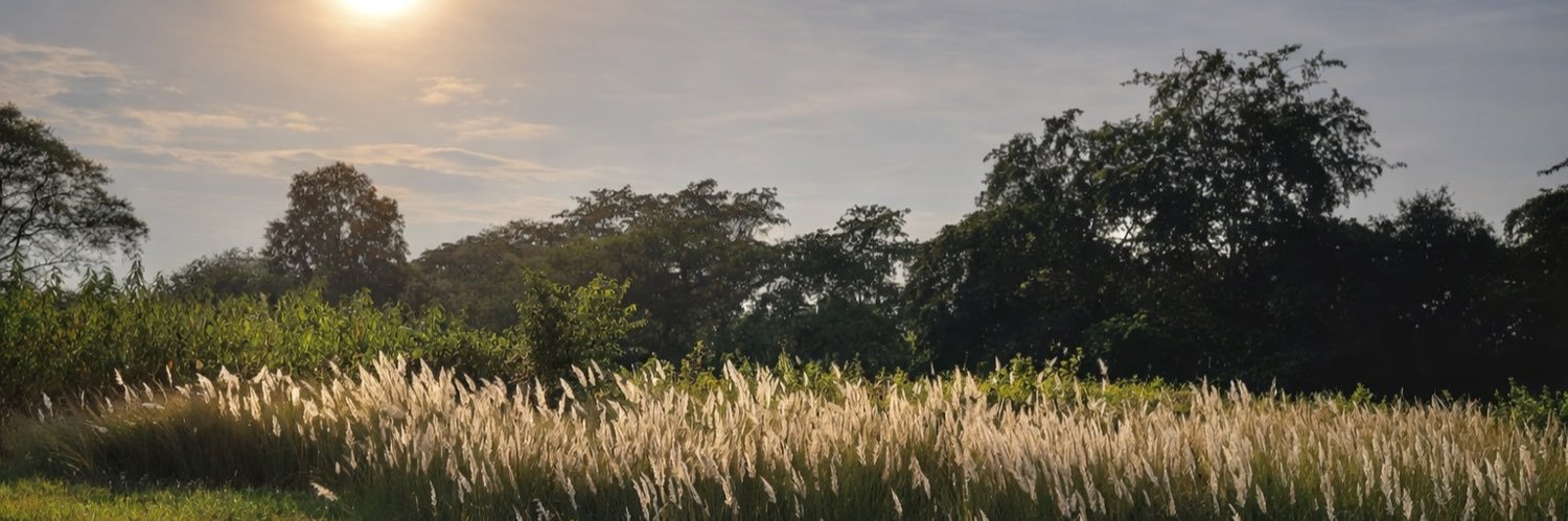 ✿ Ipsita ✿ banner