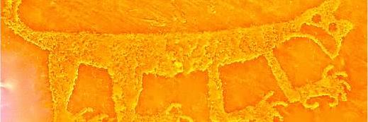 Regina R. Monaco banner