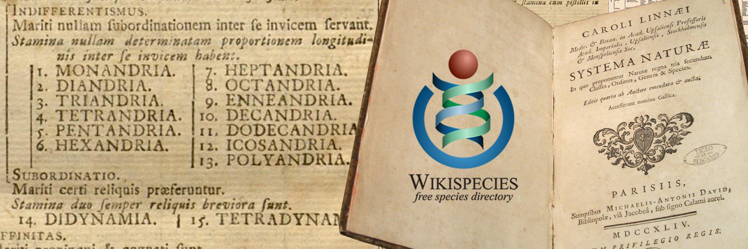 Wikispecies banner