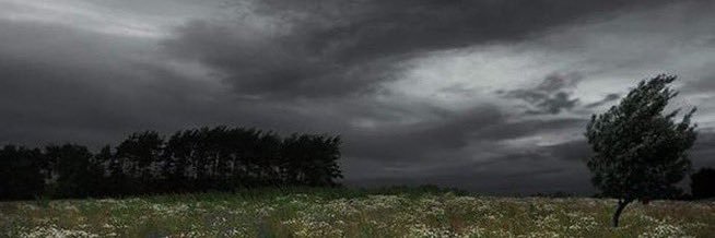 Hasan .. حسن banner