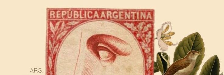 aniarmendariz's profile banner image