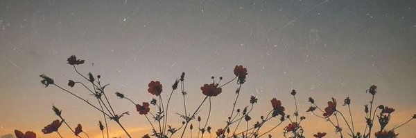 yanineetsem Profile Banner