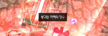 Zebi (상태:소견서8월) banner
