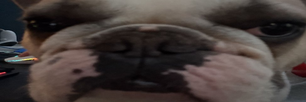 MonkeFunniest's profile banner image