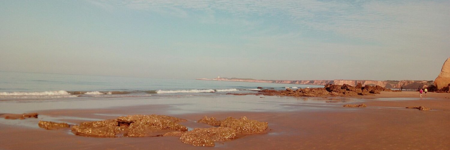 José Muñoz Flores banner