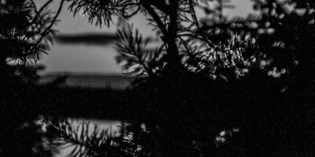 simonbellefleur's profile banner image