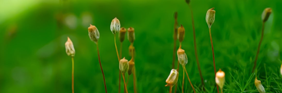 EveryBitBeautiful banner