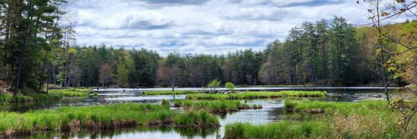 BrandBrooder Profile Banner