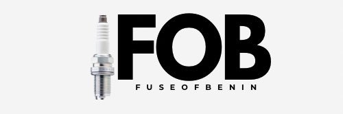 Fuse Of Benin banner