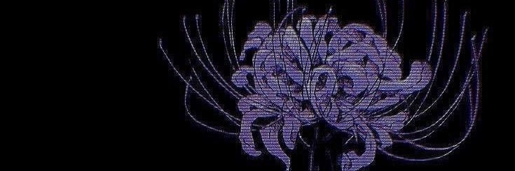 xʇunɔ lɐʇıɓ¡ᗡ banner