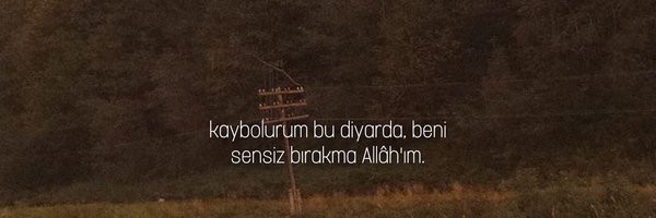 benyokmusums Profile Banner