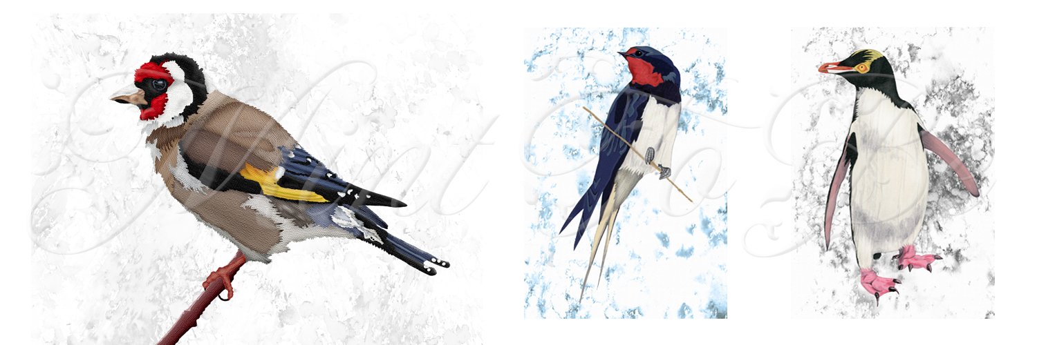 mint_to_be's profile banner image