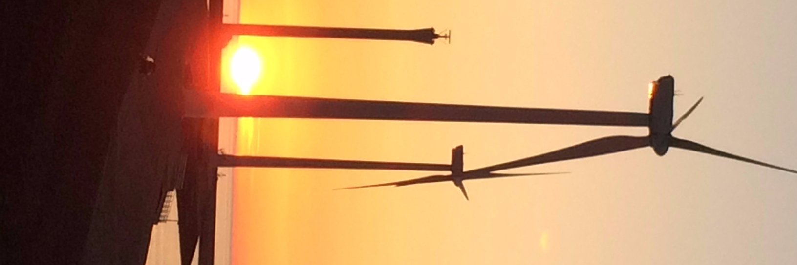 MartijnVerbeek's profile banner image