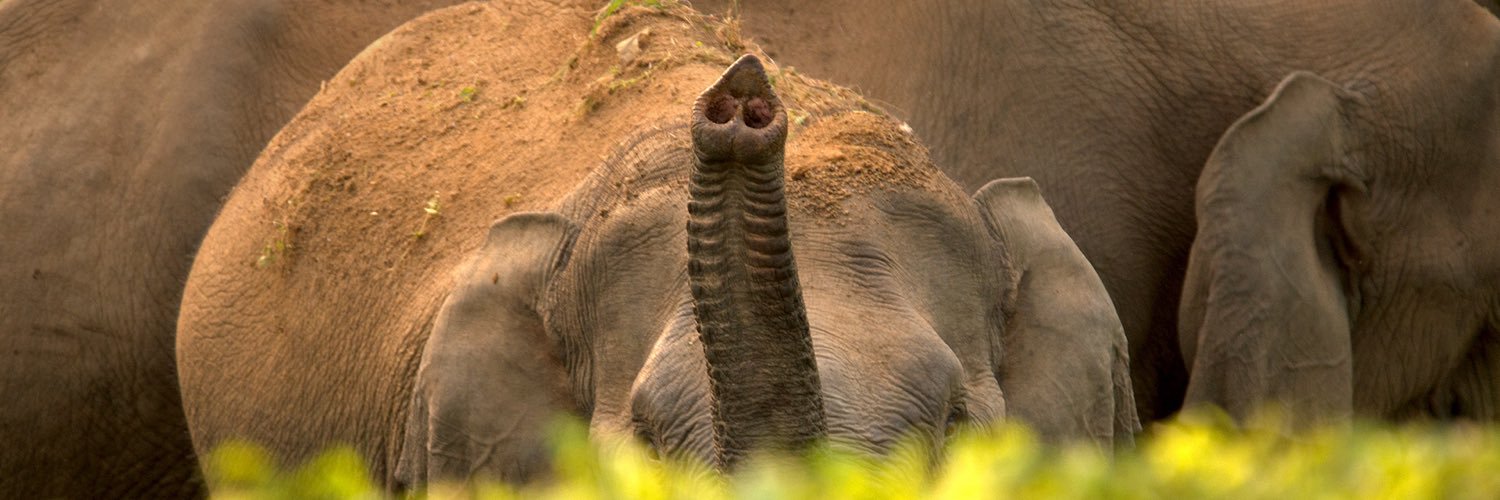 Ganesh_rag's profile banner image