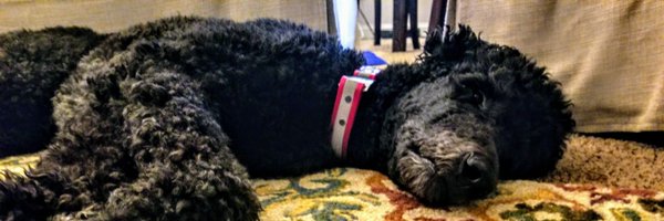 IsCool Profile Banner