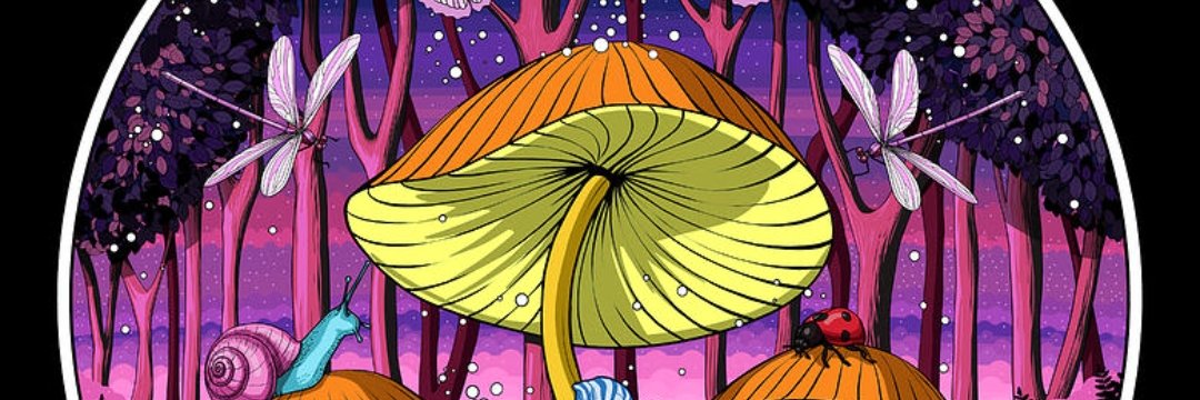 MeredithApex banner