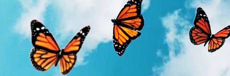 LadyKimber_11's profile banner image