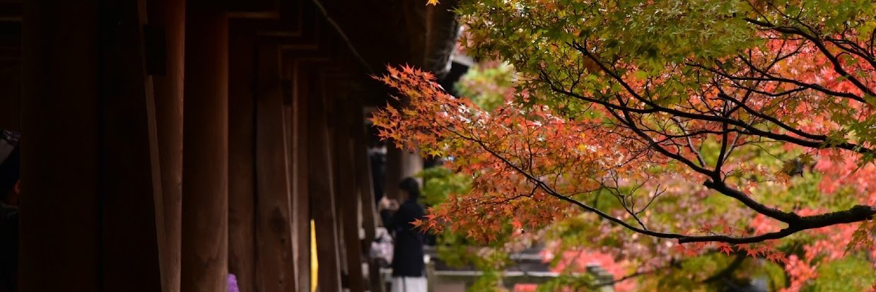 たか@Java,Web制作 banner