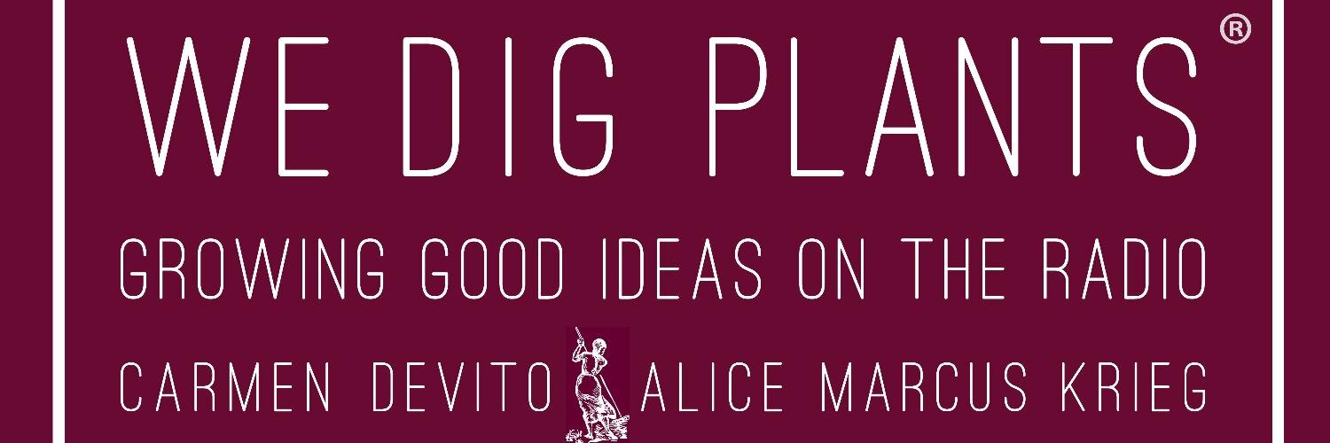 WeDigPlants's profile banner image