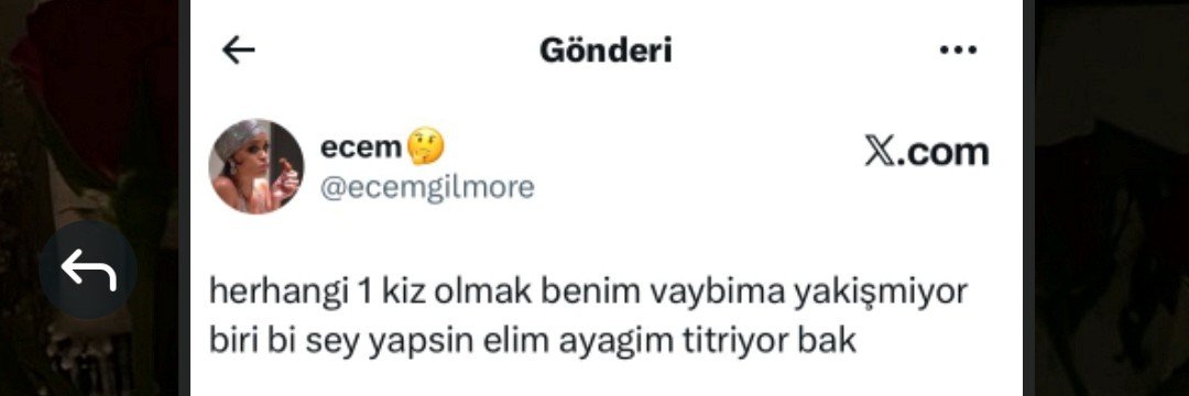 ecemgilmore's profile banner image