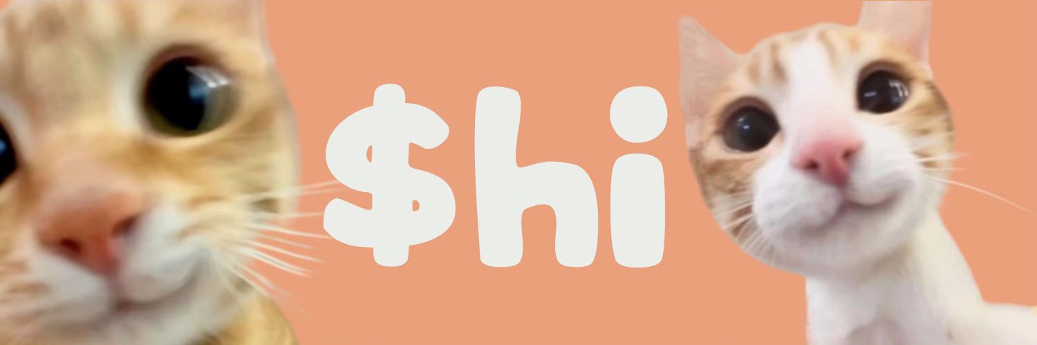 Hicoinsol's profile banner image