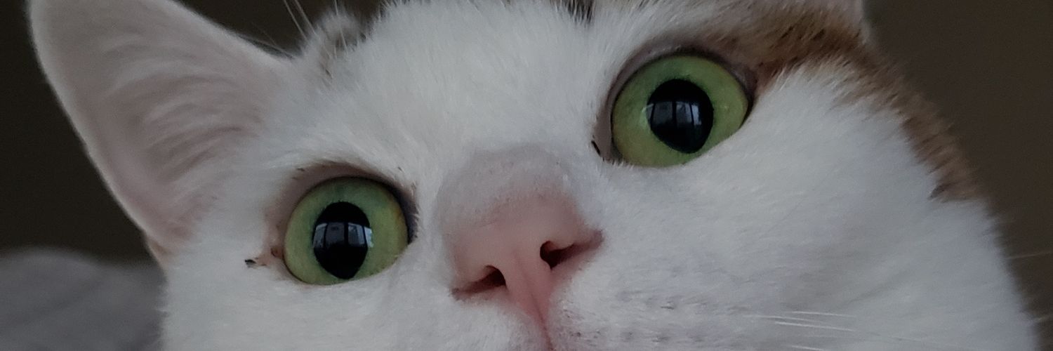 fusaneko1's profile banner image