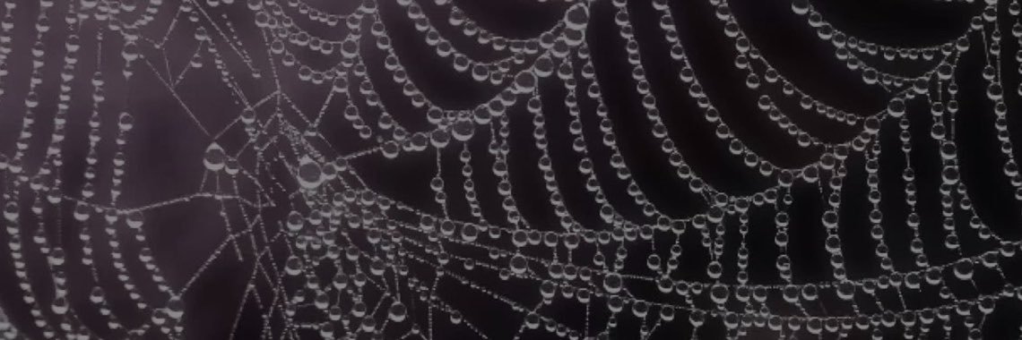 getoutofmyskin1's profile banner image