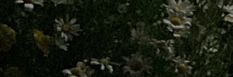 ej_eko9's profile banner image