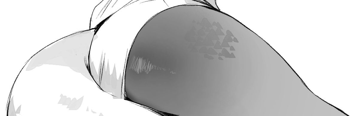 PROPRIETOR OF THE ANGER DOME banner