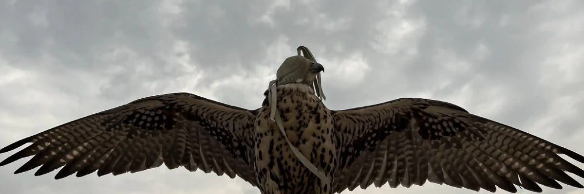 تماضر🌷 banner