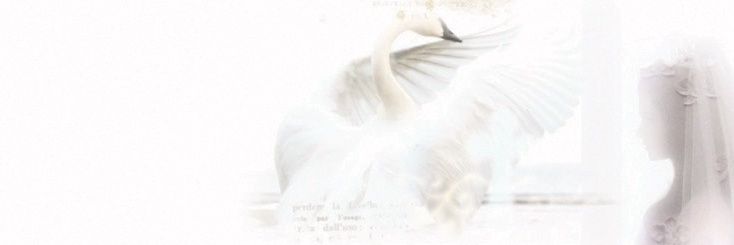 snow. banner