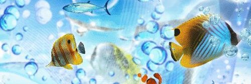 H4RUT3NSHI's profile banner image