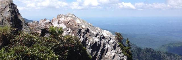 Anne O'Shaughnessy banner